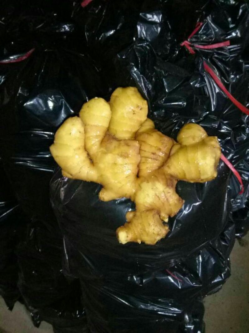 精品【大黄姜、小黄姜】常年供应、品质保证