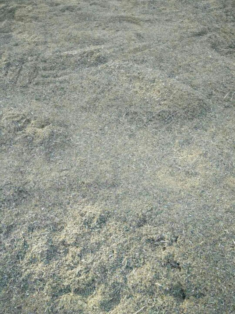 野菊花袋装