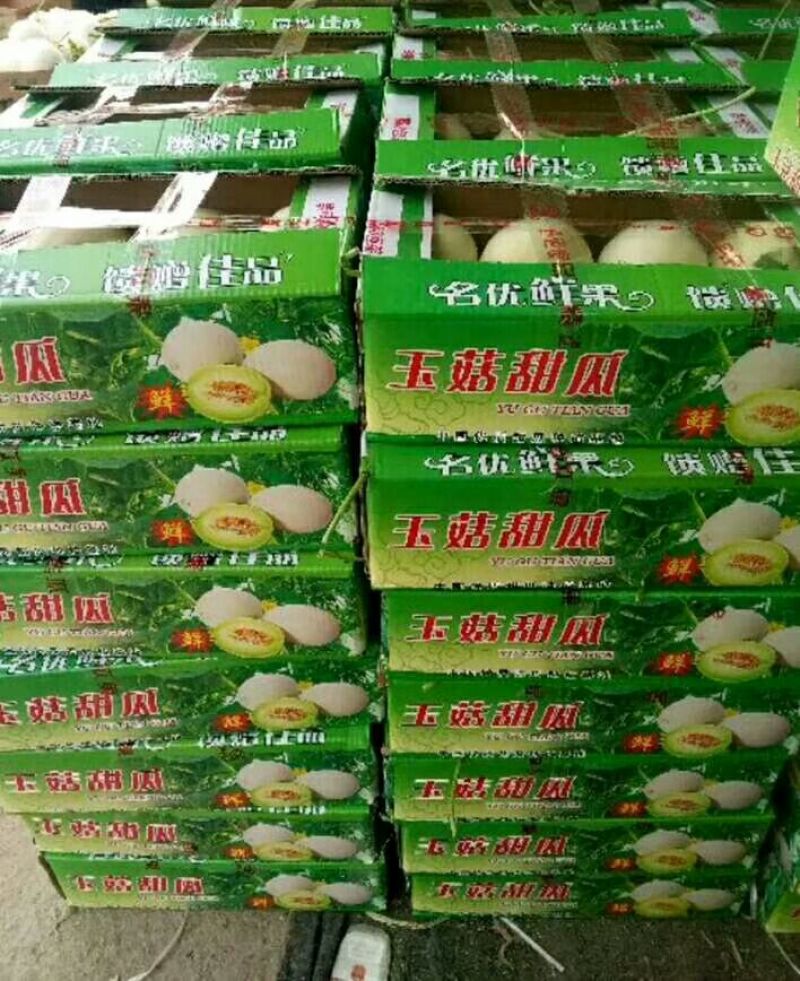 甜瓜统货0.5斤以上