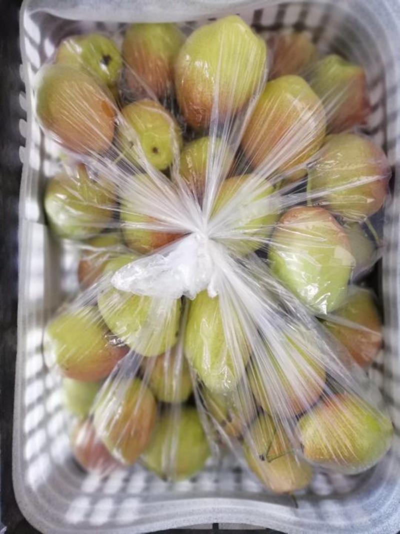 红香酥梨光果150~200g产地直发货源稳定欢迎