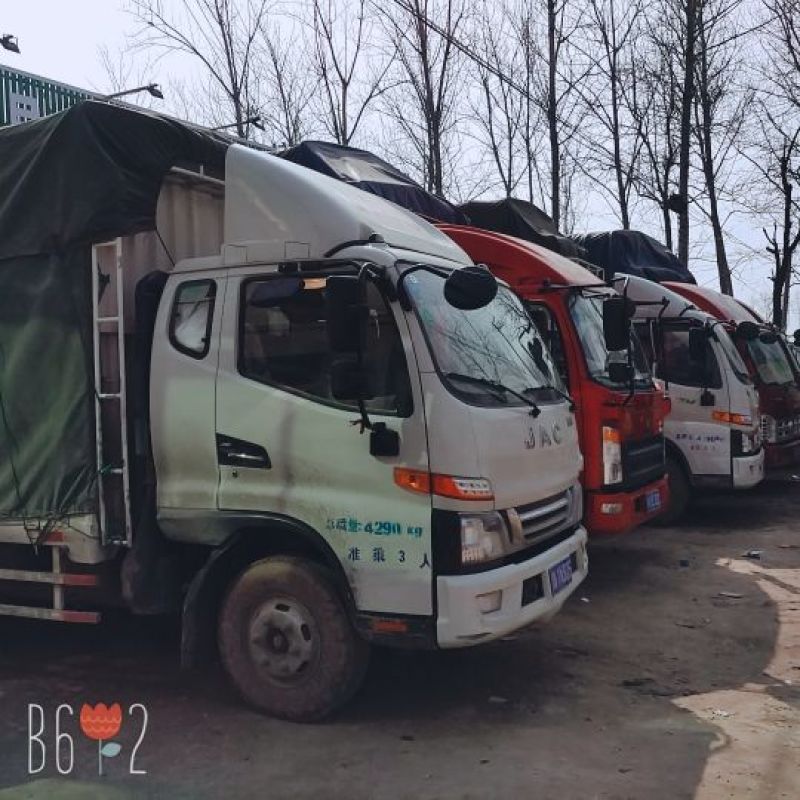 曹县万亩基地直供，常年供应，精品上海青小油菜保质保量