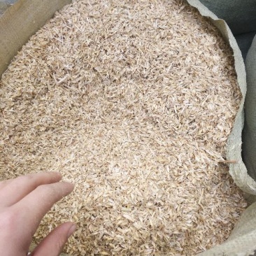 小麦壳