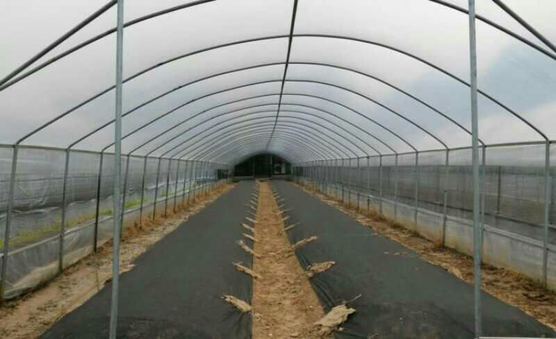 除草布