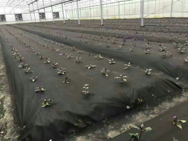 除草布
