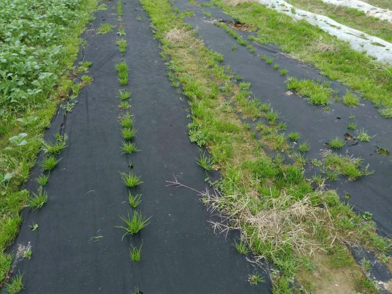 除草布