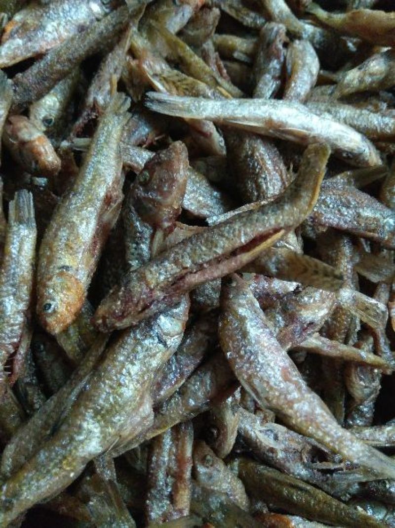 河汊小干鱼油炸小鱼干