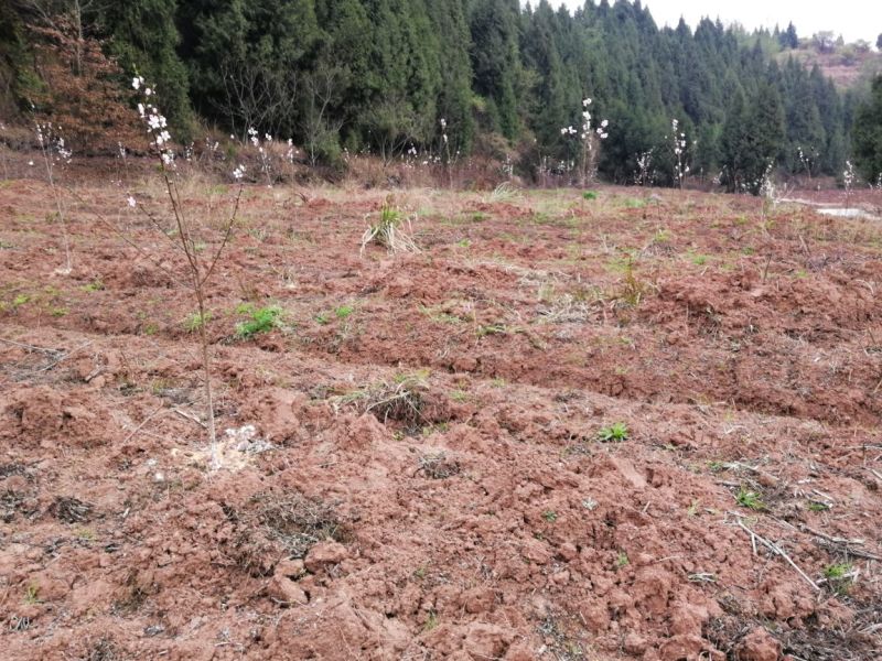 山地101~1000亩10~30年合作
