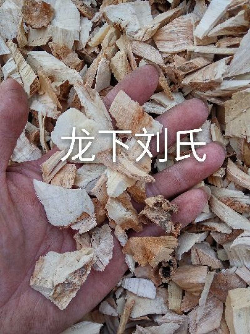 鸟不企楤木根