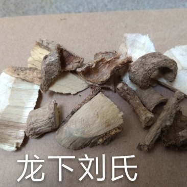 鸟不企楤木根