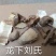 鸟不企楤木根