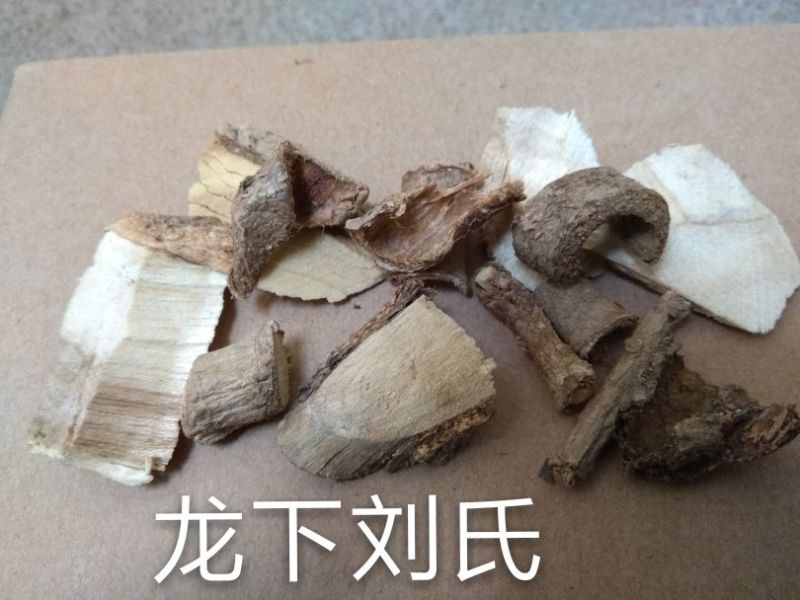 鸟不企楤木根