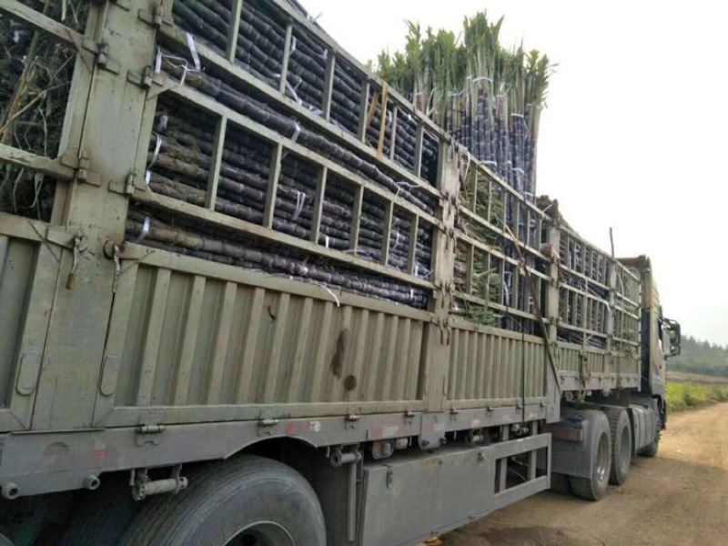 高栏车6.8m6~10吨车型齐全欢迎老板来电联系