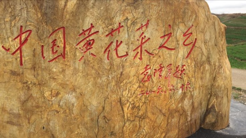 猛子花黄花菜散装一级
