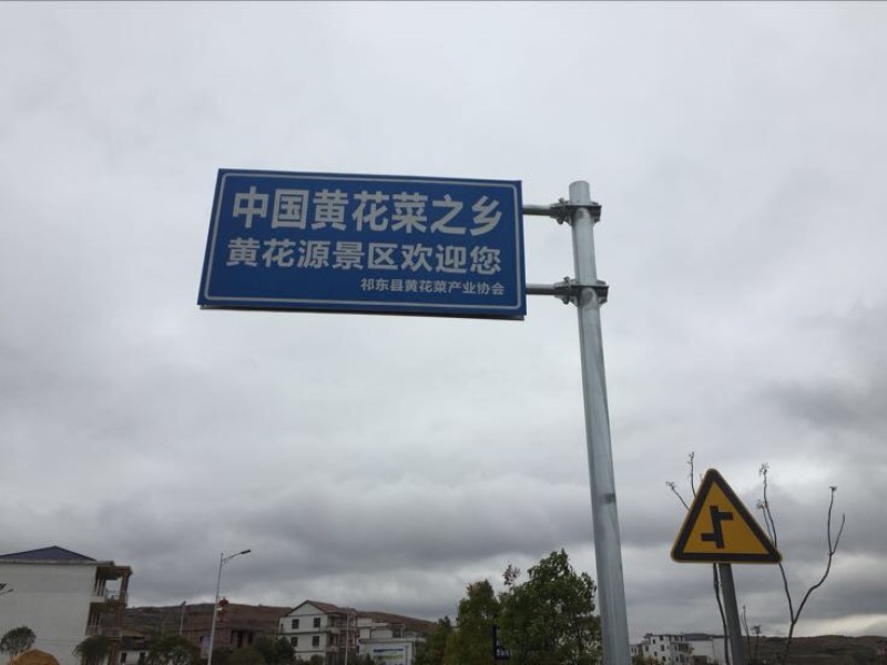 猛子花黄花菜散装一级