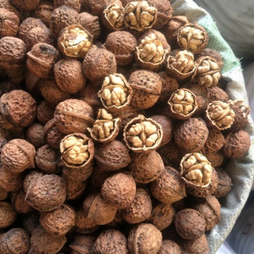 薄皮核桃30mm以上去皮干