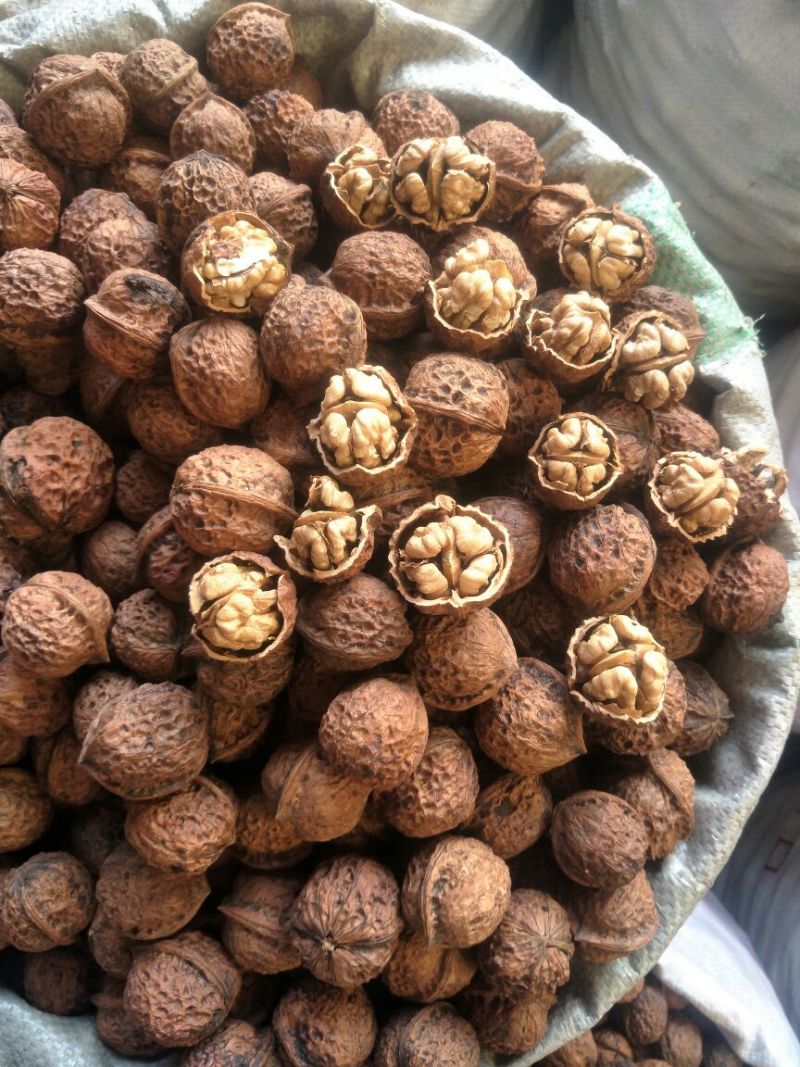 薄皮核桃30mm以上去皮干
