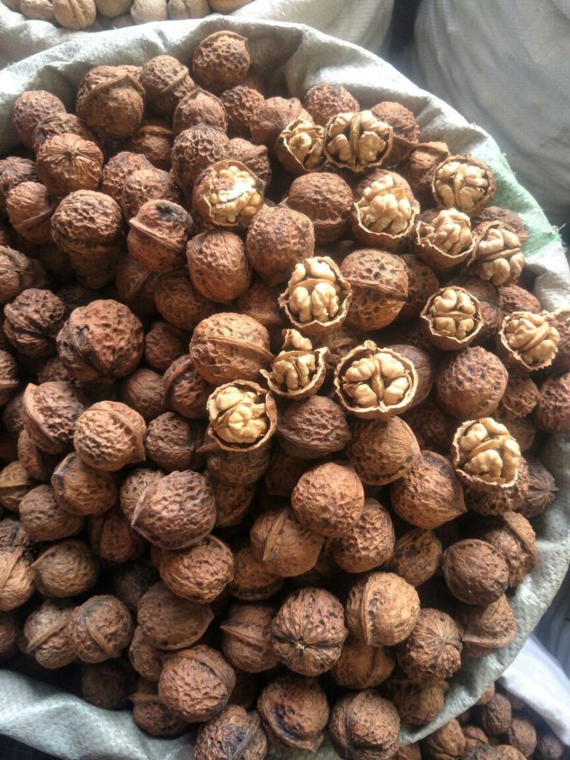 薄皮核桃30mm以上去皮干