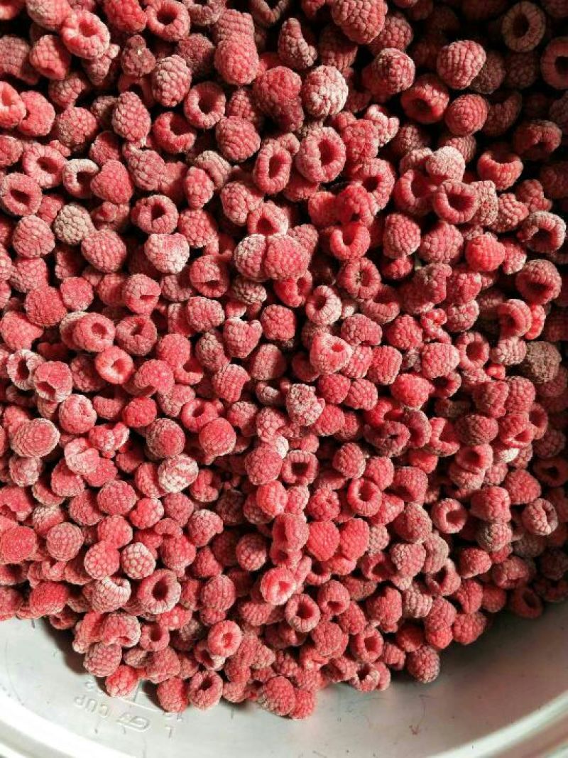 树莓果冻果，速冻红树莓果，红树莓果，速冻红树莓碎粒果