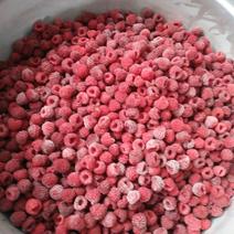树莓果冻果，速冻红树莓果，红树莓果，速冻红树莓碎粒果