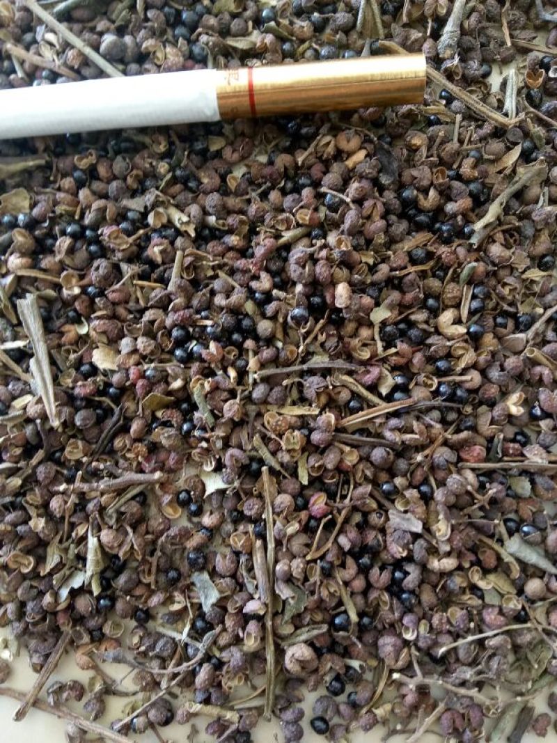 野花椒。产地直供