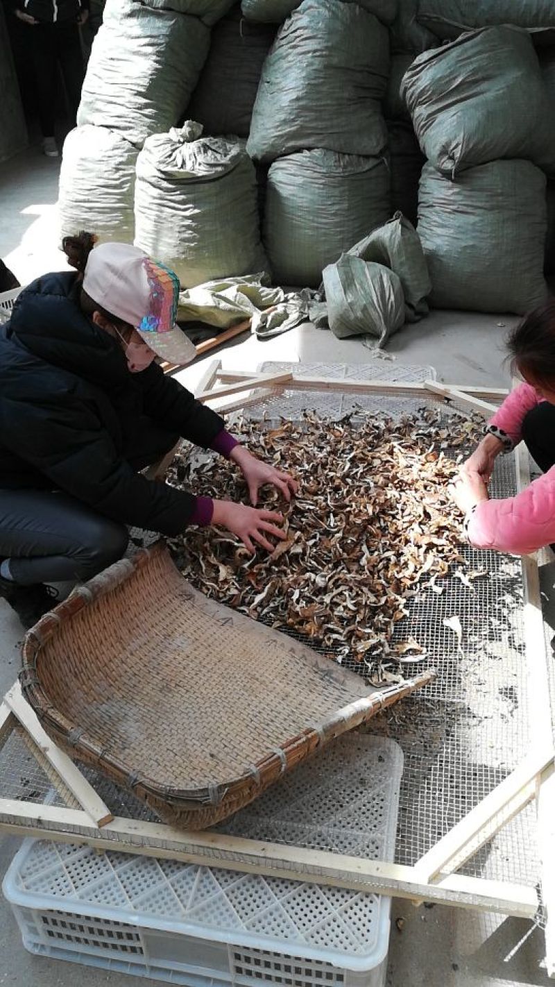 干平菇干度好，杂质少，