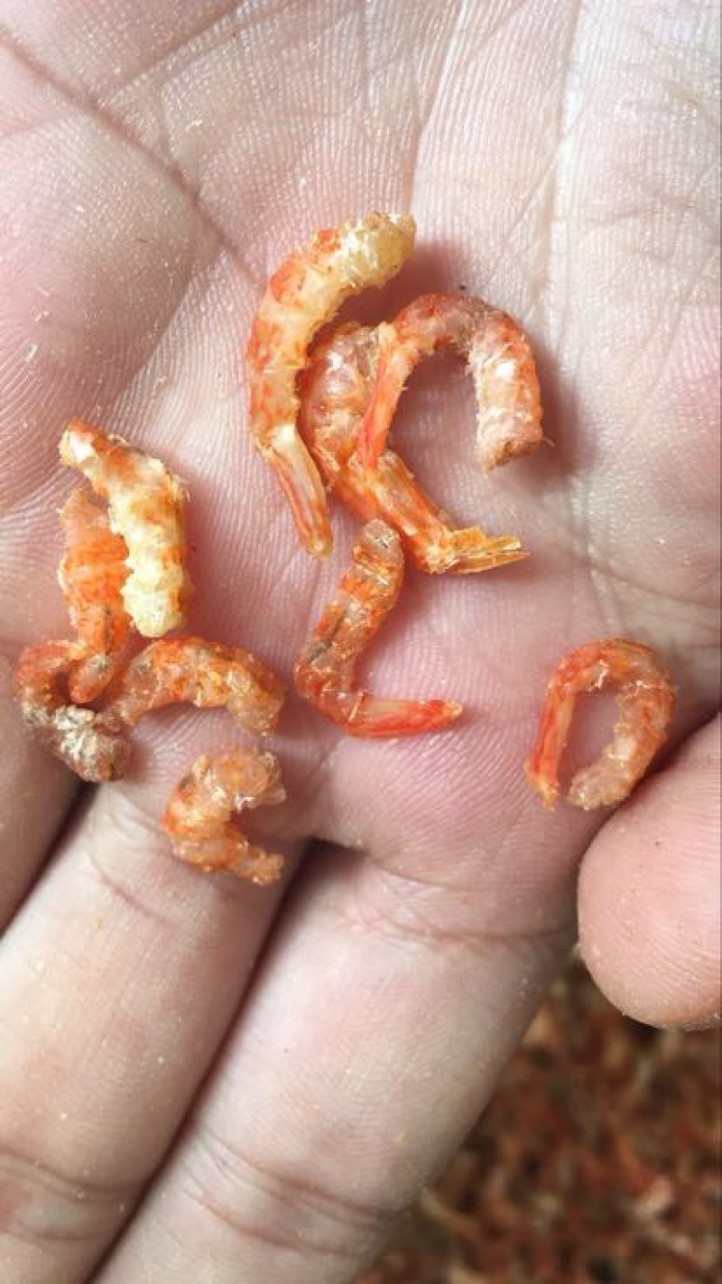 虾干一级