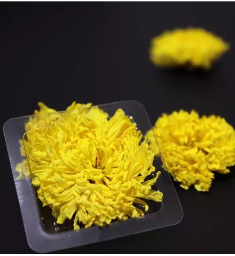 菊花茶特级