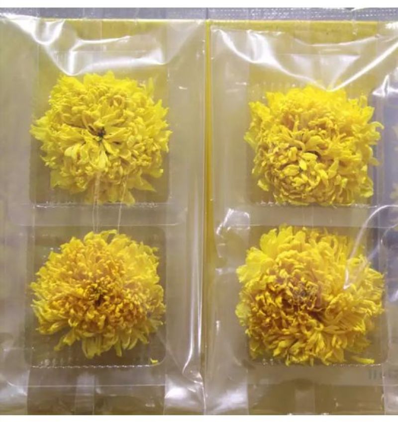 菊花茶特级