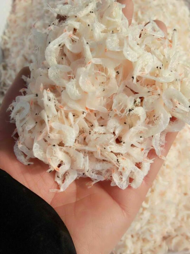 虾皮一级