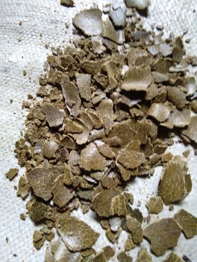 菜籽饼加工利用