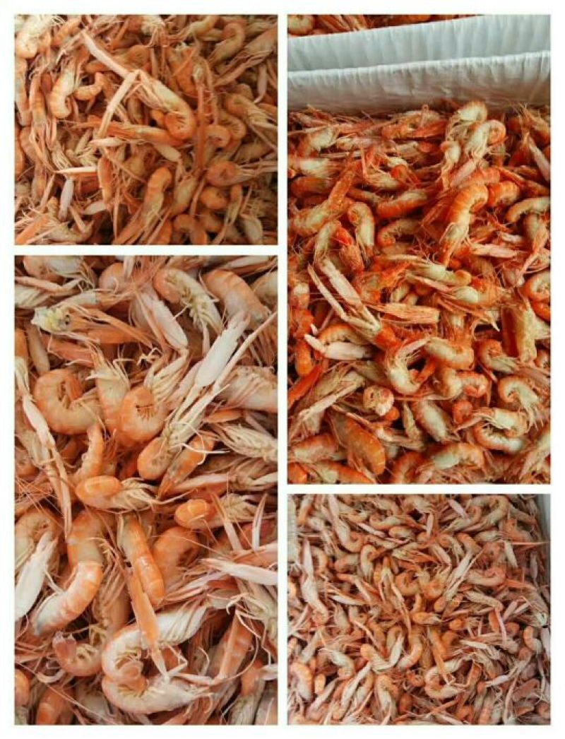 红虾冻虾