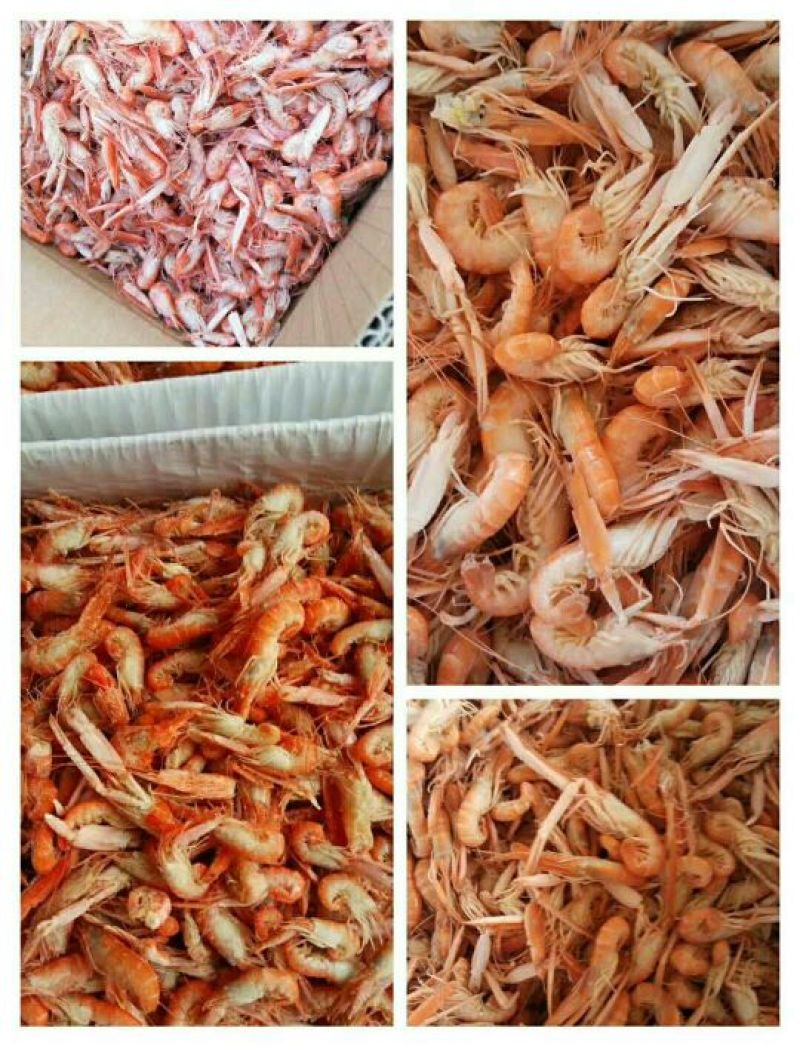红虾冻虾