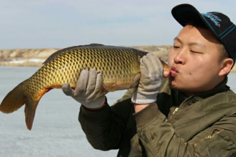 河鲤鱼3公斤以上食用
