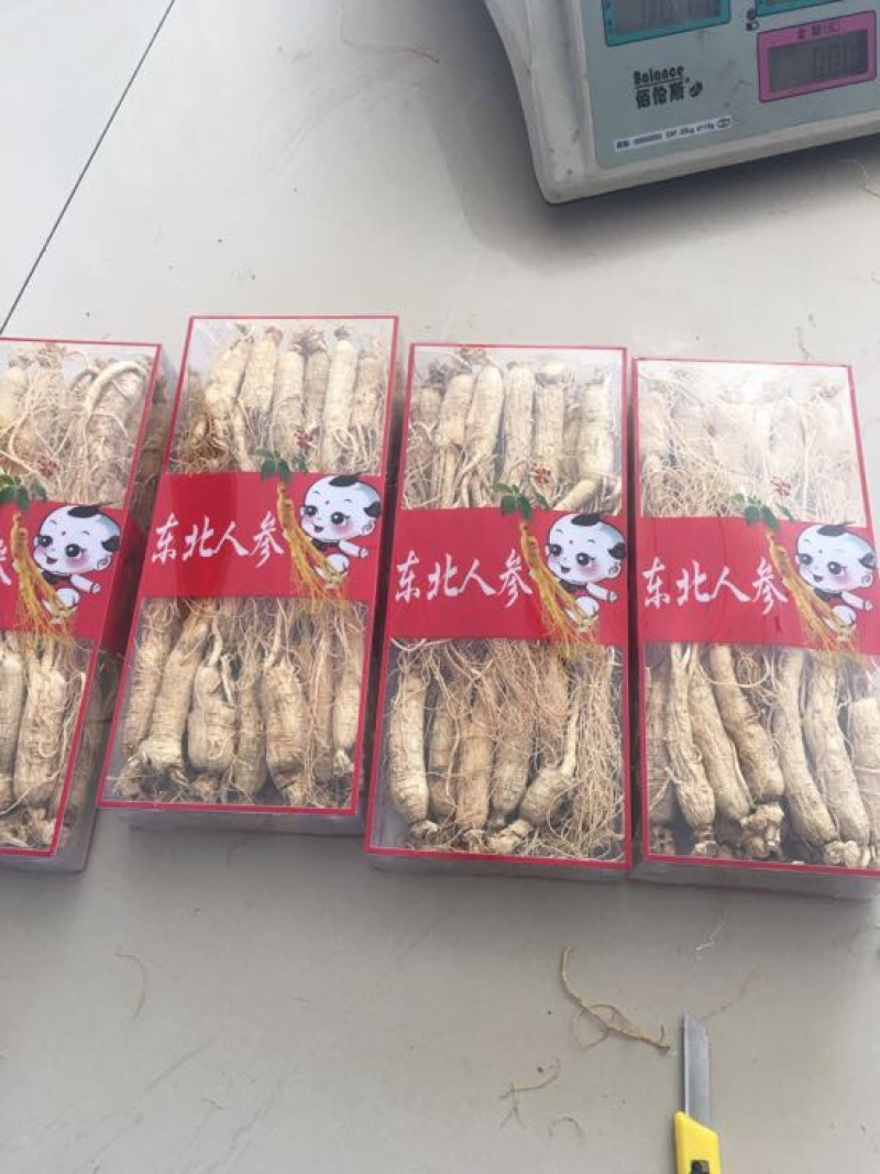 人参生晒参白参东北吉林中通包邮现货供应