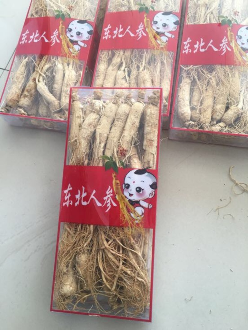 人参生晒参白参东北吉林中通包邮现货供应