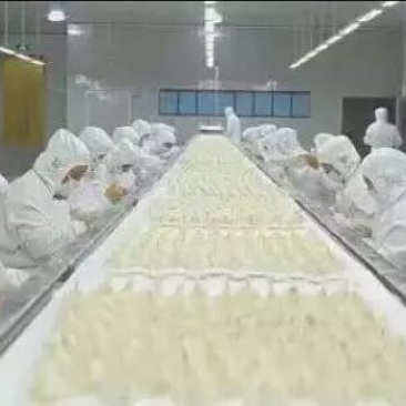 水饺鲁海野生虾仁水饺