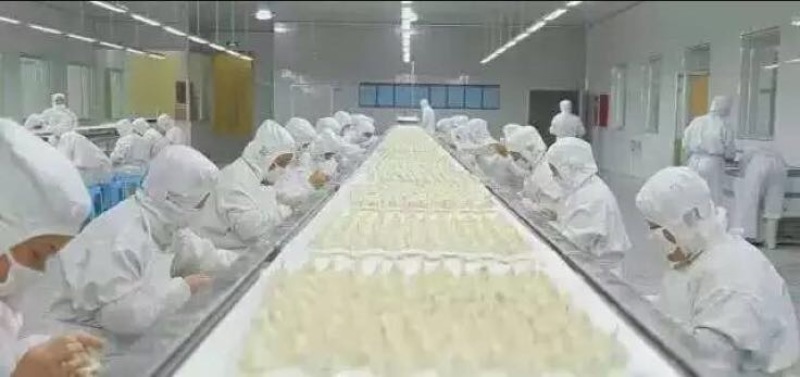 水饺鲁海野生虾仁水饺