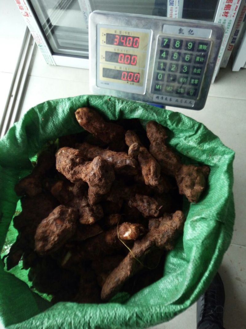 土茯苓统个