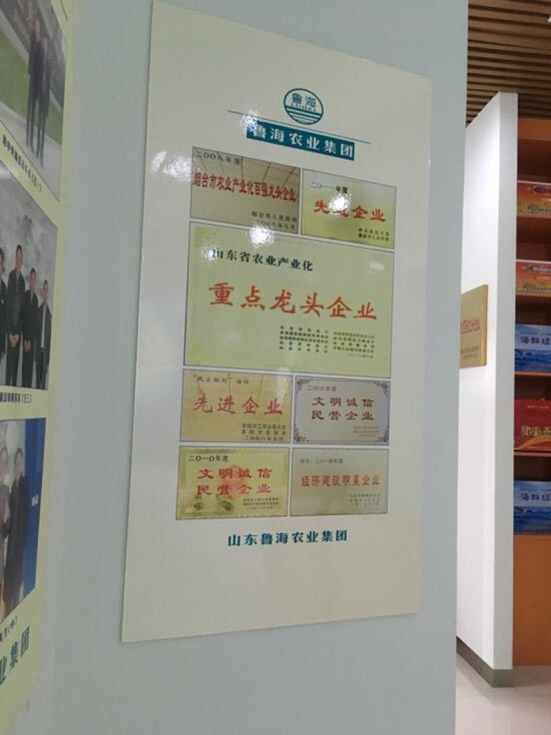 鲁海野生鲅鱼水饺手工海鲜饺子面食海捕水产品包制