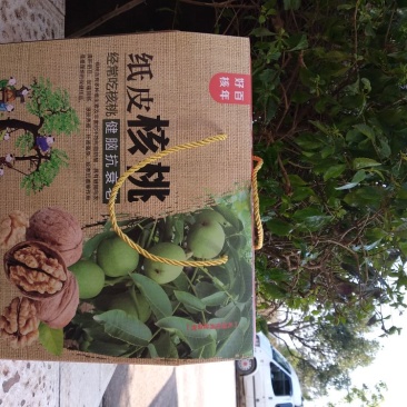 核桃去皮25~30mm干