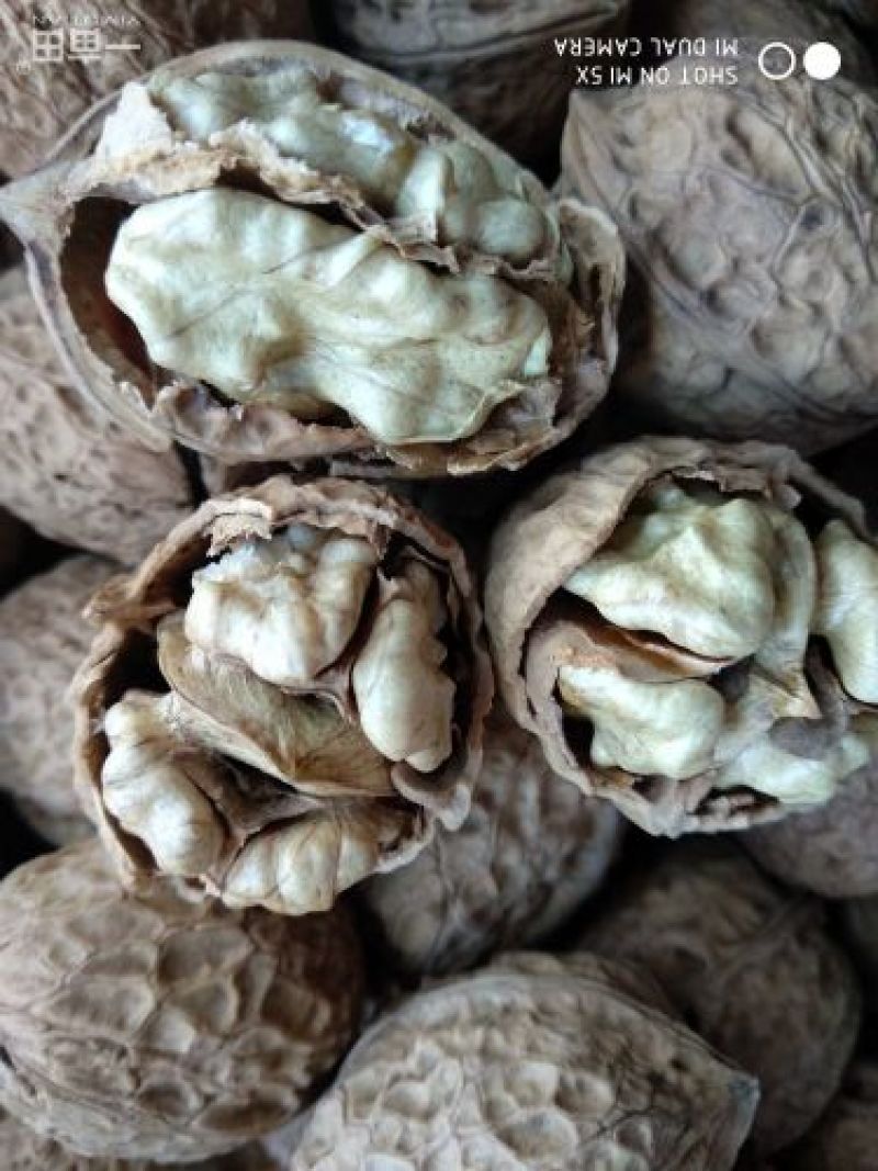 核桃去皮25~30mm干