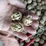 核桃去皮25~30mm干