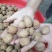 核桃25~30mm去皮干