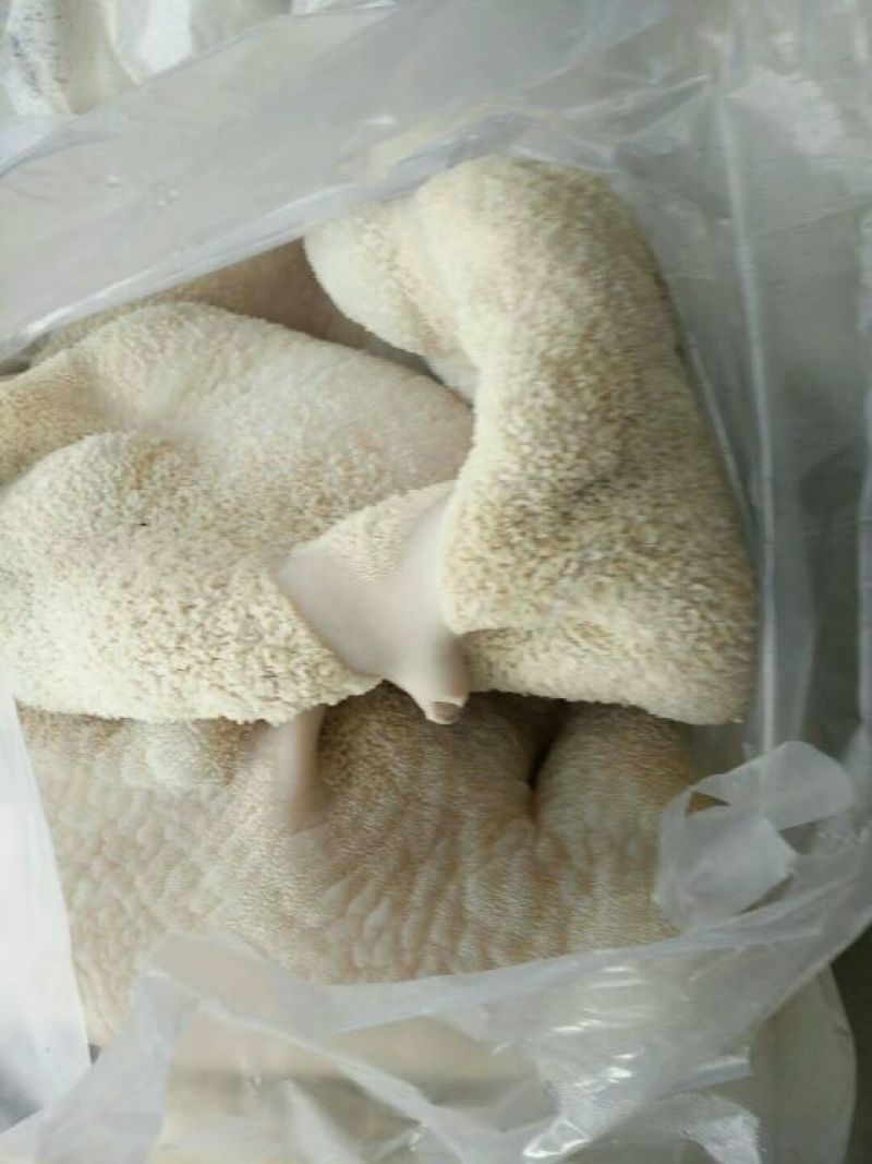 牛肚精品，熟度高，精修无油！