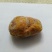 鸡宝