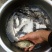 白鲫食用