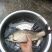 河鲤鱼1~2公斤食用