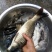 河鲤鱼1~2公斤食用