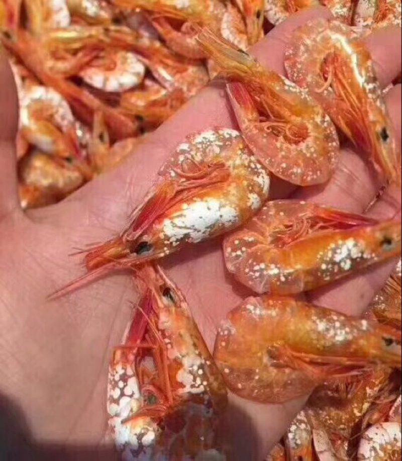 对虾干