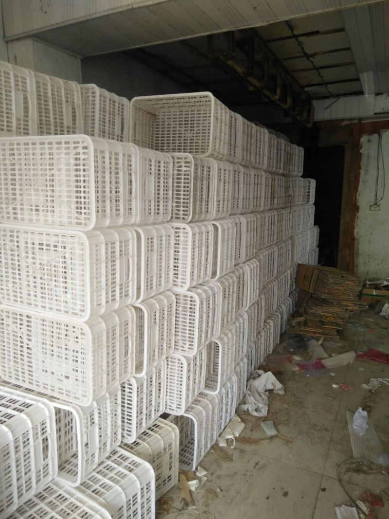 塑料筐外：525*360*300内：490*320*28